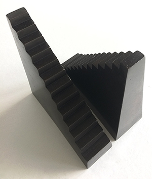 Melissa Young Pillars of Society