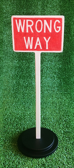 Melissa Young Elderly People